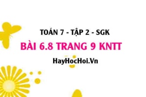 Bài 6.8 trang 9 Toán 7 Tập 2 Kết nối tri thức